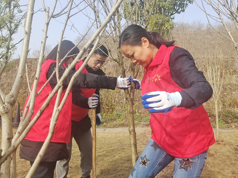 3.第三基层总支组织辖区内五个单位四十余名志愿者在宜昌管理所参加义务植树活动，为把宜昌新站建设成为生态园林站所贡献一份力量。.jpg